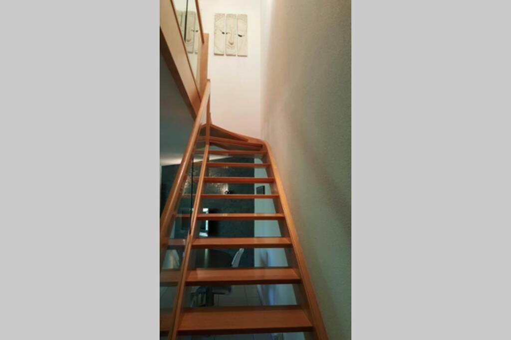 Apartment Superbe Duplex Au Nouveau Bassin Avec Vue Superbe Mülhausen